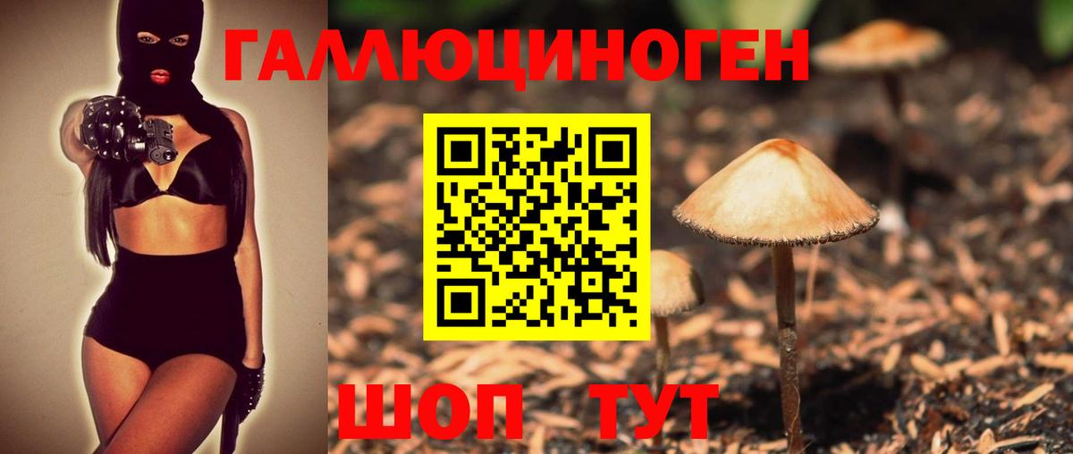 Псилоцибиновые грибы мухоморы Астрахань